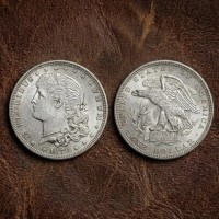 1879 Schoolgirl Dollar Pattern Coin, Rare US Morgan Silver Dollar Design Liberty Eagle Coin for Coin Collectors, Collectible Antique Coins